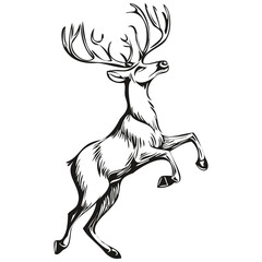 Pencil Sketch of Christmas Reindeer, deer Hand Drawn Vector Illustration, black white isolated Vector ink outlines template for greeting card, poster, invitation, logo
