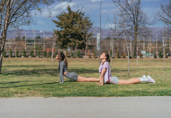 Fit, alluring sportsgirls exercising in the park, on a sunny day