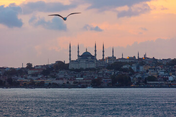 Istanbul view from a ferry at sunset. Blue Mosque and seagull