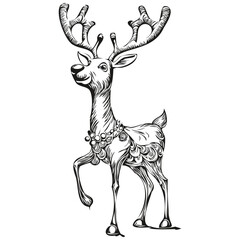Sketch Drawing of Christmas Reindeer, deer Hand Drawn Vintage Engraved, black white isolated Vector outlines template for greeting card, poster, invitation, logo