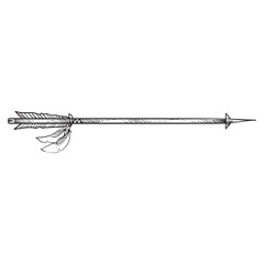 arrow feather handdrawn illustration