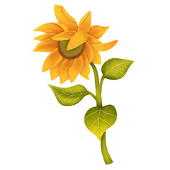 Fototapeta na wymiar Illustration of sunflower watercolor on transparent background. Summer yellow blossom flower.