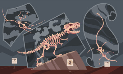 Paleontological museum interior. Exhibition with prehistoric dinosaur skeleton. Fossils and archaeological discoveries. Historical artefacts and sculls on pedestals.  science room © the8monkey