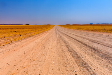 Fototapeta na wymiar Desert landscape, Namibia