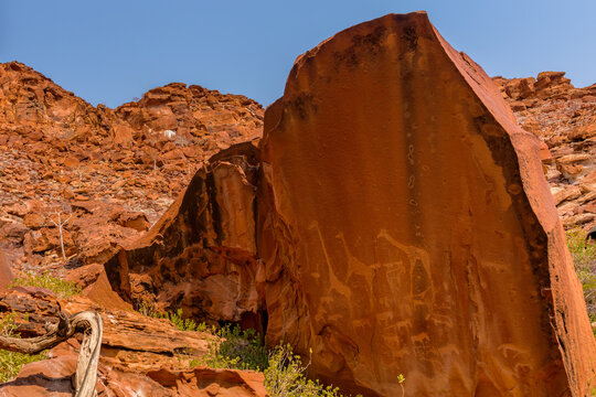 Stone engraving, Damaraland, Twyfelfontein, Namibia