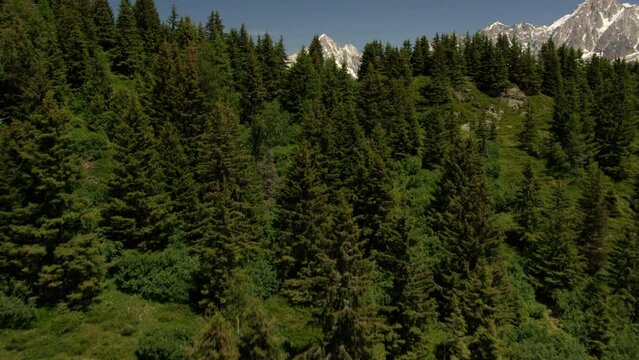 D&eacute;couverte a&eacute;rienne de Chamonix en &eacute;t&eacute; &agrave; travers la for&ecirc;t