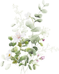 Watercolor Floral Branch Elements