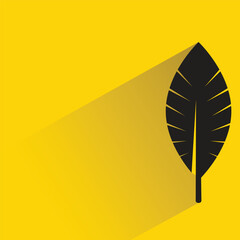 silhouette feather icon with shadow on yellow background