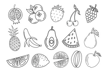vector engraving hand drawn fruit collection