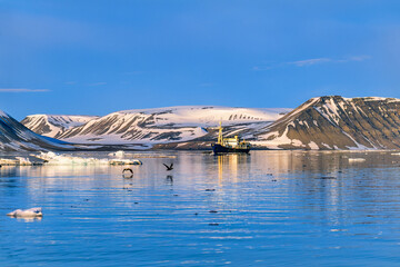 Ship in a bay at the coast in Spitsbergen - obrazy, fototapety, plakaty