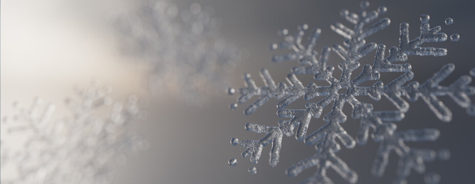 Fototapeta Snowflake Christmas Wallpaper. Natural, Icy Winter Banner with copy-space.
