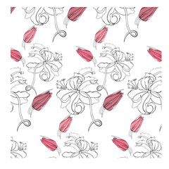 A pattern with the image of a lily flower. Hand-drawn. A linear drawing on a transparent background.