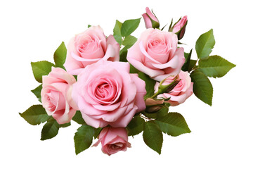 Pink rose flowers with green leaves in a floral arrangement isolated on white or transparent background. - obrazy, fototapety, plakaty