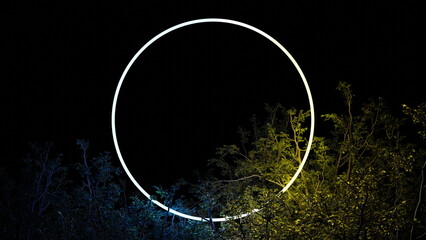 Luminous circle ring in foliage of tree branches on black background. Neon glow illumination, place for text. 3d render