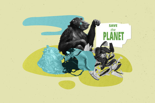 Collage creative picture ecological disaster in world funny crying monkey please stop using plastic isolated on green color background