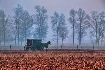 Amish Buggy in the Fog