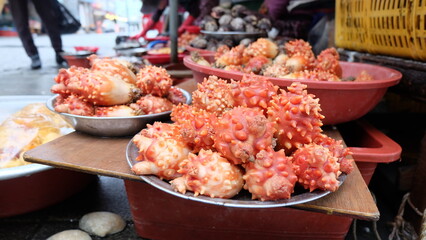 the sea pineapple (Halocynthia roretzi) or meongge is an edible ascidian (sea squirt) consumed primarily in South Korea