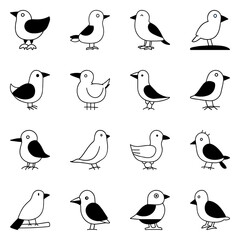Set of bird icon. Pictogram vector design.