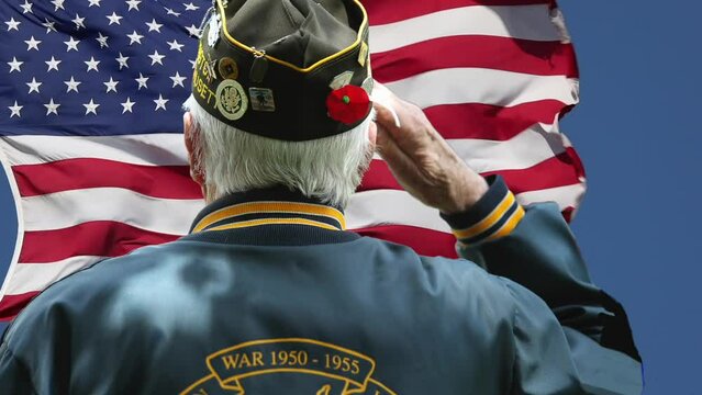 Retired veterans saluting in front of the American flag, the US