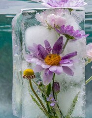 Artistic photo of frozen flowers in a block of ice for art prints, wallpapers, artwork on canvas, cards, gifts, and postcards