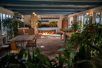 Private shop, store of decorative houseplants, flowers, ceramic, terracotta pots. Potted plants standing on shelves, tables. Cozy light workplace with large windows looking like orangery, greenhouse
