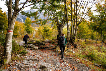 Hikers on a Forest Trail in the Albanian Alps in Autumn