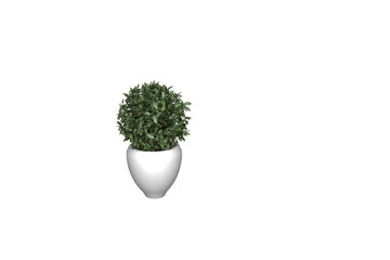 Flower in pot isolated on white, 3d render