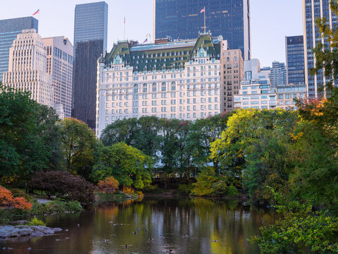 New York Plaza Hotel