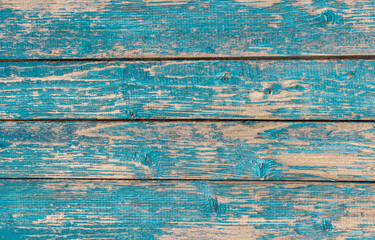 blue wooden background, old wooden wall with remnants of turquoise paint.