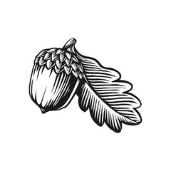 Acorn vintage engraved vector illustration