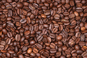 Roasted coffee beans