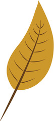 autumn leaf vector