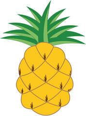 illustration of pineapple