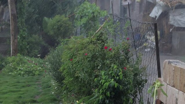 heavy rain and thunderstorm in  gardan