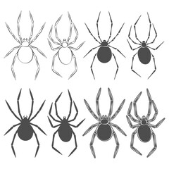 Set of black and white illustrations with spider. Isolated vector objects on white background.