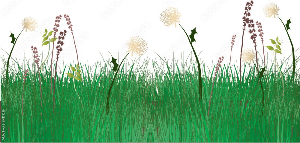 Wall mural Illustrated grassy meadow with weeds and dandelions