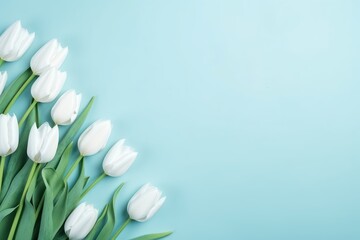 Beautiful spring tulips and space for text on light blue background