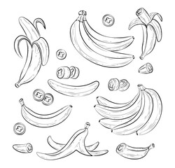 Cartoon bananas set. Vector hand drawn banana icons, half peeled and slice banana snack, bunch of bananas. Yellow tropical fruits. Exotic sweet desserts.Healthy vegan food illustration in doodle style