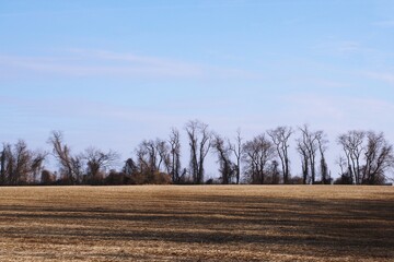 During the spring/summer corn is planted in this field.