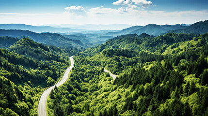 Aerial view road with green forests