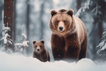 Foto op Aluminium Female brown bear, ursus arctos, standing close to her cub © Celina
