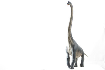 beautiful and majestic toy brachiosaurus with white background for advertising and notices