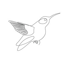 Fototapeta premium Bird continues single line art and outline vector illustration on white background and minimal here 