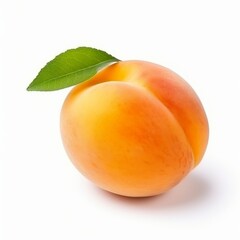 Apricots on a white background