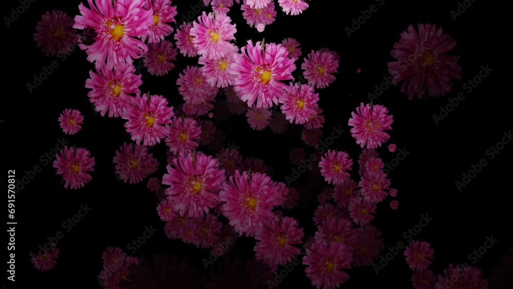 Poster movement through rotating flowers on a black background. abstract animation. 3d render