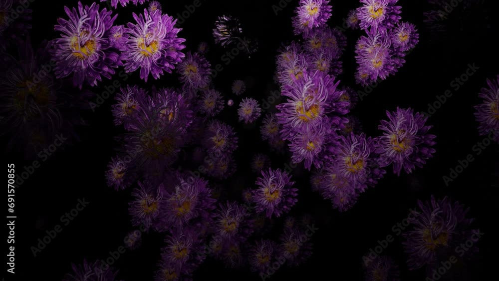 Poster movement through rotating flowers on a black background. abstract animation. 3d render