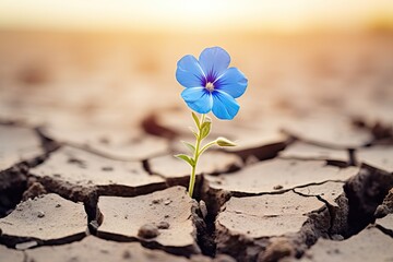 A blue flower is growing out from a dry soil, in the style of photo-realistic landscapes, cracked. AI generated image