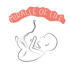 hand drawn line art vector of miracle of life. a new life concept. human life cycle
