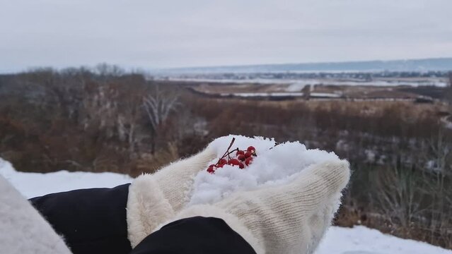 Closeup view of woman hand in gloves holding white snow with red ripe hawthorn berries. Winter seasonal natural healthy fruits