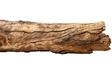 Tree trunk lying isolated on transparent background